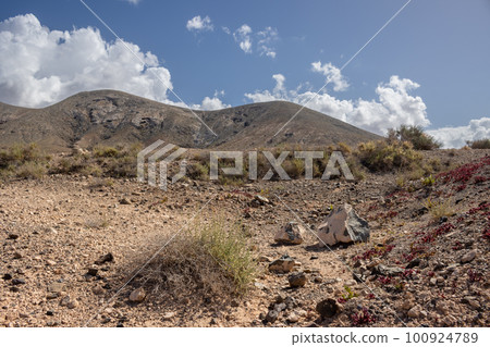 Mountains in the central Fuerteventura Mountains in the central Fuerteventura 100924789
