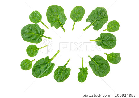 Spinach leaves frame isolated on white. Spinach leaves frame isolated on white. 100924893