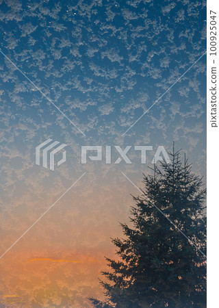 Cover page with beautiful green spruce trees seen from a frozen icy glass window with snowflakes at gradient blue sky background at sunset colors with copy space 100925047