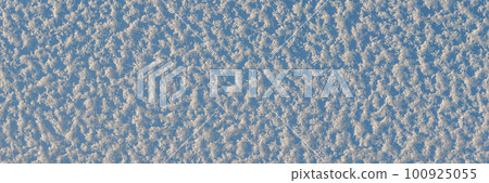 Panoramic banner with frosty and snowy icy glass window at winter snowy day. Concept of seasonal mood, background with copy space. Panoramic banner with frosty and snowy icy glass window at winter snowy day. Concept of seasonal mood, background with copy space. 100925055