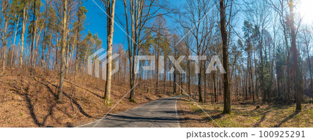 Panoramic view over a road in magical deciduous and pine forest, rocky granite hills landscape at riverside of Zschopau river near Mittweida town, Saxony, Germany, at warm sunset and blue Spring sky. 100925291