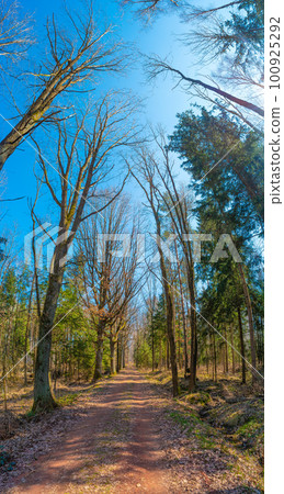 Hiking trail in magical deciduous and pine forest, rocky granite hills landscape at riverside of Zschopau river near Mittweida town, Saxony, Germany, at warm sunset and blue Spring sky. Hiking trail in magical deciduous and pine forest, rocky granite hills landscape at riverside of Zschopau river near Mittweida town, Saxony, Germany, at warm sunset and blue Spring sky. 100925292