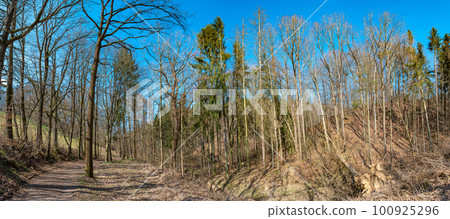 Panoramic view over a road in magical deciduous and pine forest, rocky granite hills landscape at riverside of Zschopau river near Mittweida town, Saxony, Germany, at warm sunset and blue Spring sky. 100925296