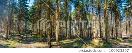 Panoramic view over a road in magical deciduous and pine forest, rocky granite hills landscape at riverside of Zschopau river near Mittweida town, Saxony, Germany, at warm sunset and blue Spring sky. Panoramic view over a road in magical deciduous and pine forest, rocky granite hills landscape at riverside of Zschopau river near Mittweida town, Saxony, Germany, at warm sunset and blue Spring sky. 100925297