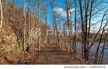 View over magical deciduous forest and hills landscape at riverside of Zschopau river near Mittweida town, Saxony, Germany, at warm sunset and blue sky. 100925333