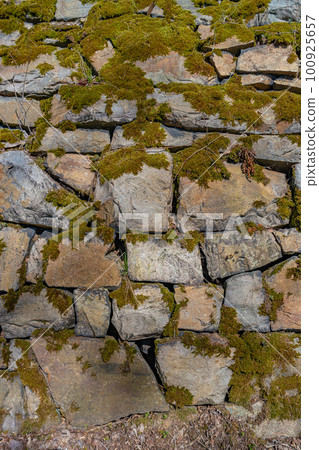 Pattern of ancient bricks and stones at old middle age fortress wall covered with moss, grass and lichen, as a background, closeup, details. 100925657