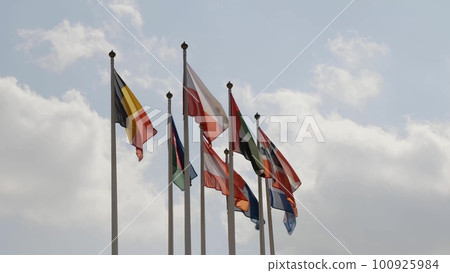 Various national flags with the EU flag under a blue sky. 100925984