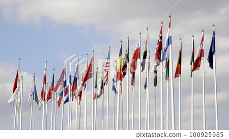 Various national flags with the EU flag under a blue sky. 100925985