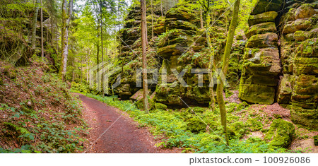 Panoramic view over magical enchanted fairytale forest with moss, lichen and fern at the hiking trail Malerweg in the national park Saxon Switzerland near Dresden, Saxony, Germany. Panoramic view over magical enchanted fairytale forest with moss, lichen and fern at the hiking trail Malerweg in the national park Saxon Switzerland near Dresden, Saxony, Germany. 100926086