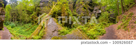 Panoramic view over magical enchanted fairytale forest with moss, lichen and fern at the hiking trail Malerweg in the national park Saxon Switzerland near Dresden, Saxony, Germany. Panoramic view over magical enchanted fairytale forest with moss, lichen and fern at the hiking trail Malerweg in the national park Saxon Switzerland near Dresden, Saxony, Germany. 100926087