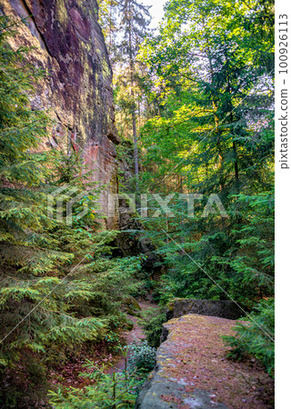 Cover page with magical fairytale forest with fern, moss and rocks at the hiking trail called Malerweg in the national park Saxon Switzerland near Dresden and Czechish border, Saxony, Germany. Cover page with magical fairytale forest with fern, moss and rocks at the hiking trail called Malerweg in the national park Saxon Switzerland near Dresden and Czechish border, Saxony, Germany. 100926113