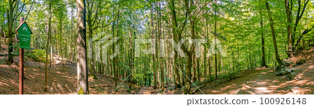 Panoramic forest at the hiking trail in the national park Saxon Switzerland near Dresden and Czechish border, Saxony, Germany, with a sign that it is a national park. 100926148
