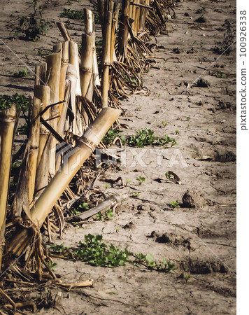 Corn field after harvest with strewn stover over disced soil. Corn field after harvest with strewn stover over disced soil. 100926338