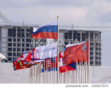 Various national flags with the EU flag under a blue sky 100927071