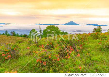 [Mt. Fuji] Mt. Fuji, Japanese azalea and sea of clouds at sunrise seen from Mt. Amari in early summer [Yamanashi Prefecture] 100927266