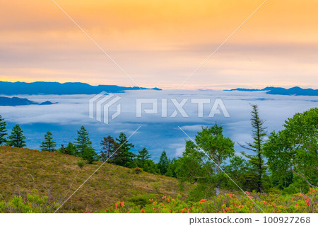 [富士山]初夏從甘有山看到的富士山、杜鵑花和雲海[山梨縣] 100927268