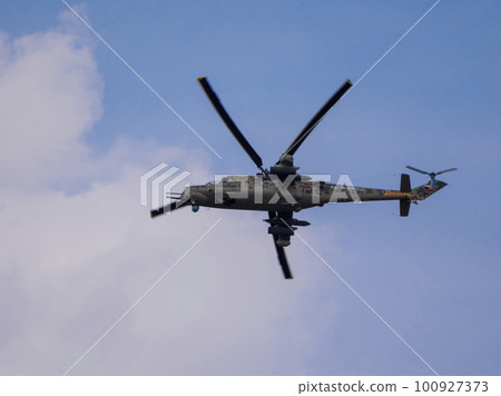 ZHUKOVSKY, RUSSIA - SEPTEMBER 01, 2019 ZHUKOVSKY, RUSSIA - SEPTEMBER 01, 2019 100927373