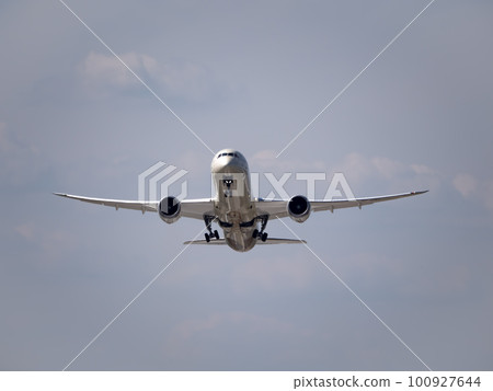 MOSCOW , RUSSIA, June 10, 2019 100927644