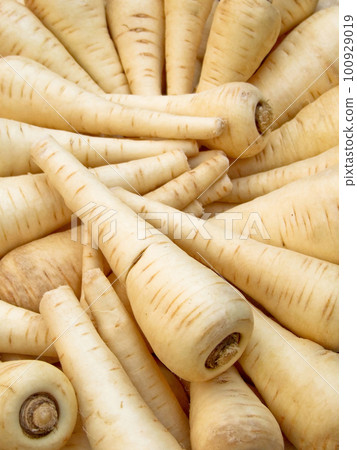 Parsnip 100929019