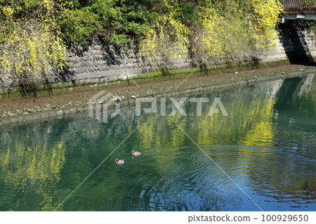 River where unnan oubai glistens (Josai Park, Kochi City, Kochi Prefecture) 100929650