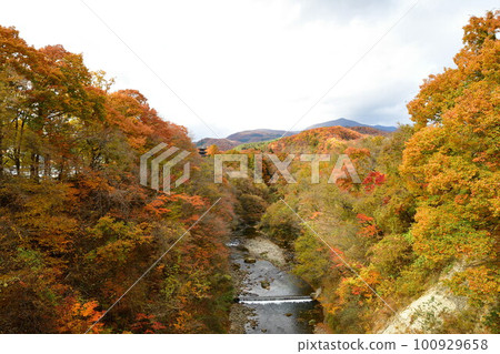 城木山的紅葉(宮城縣) 城木山的紅葉(宮城縣) 100929658