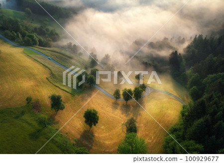 Aerial view of trees, alpine meadows and mountains in low clouds Aerial view of trees, alpine meadows and mountains in low clouds 100929677