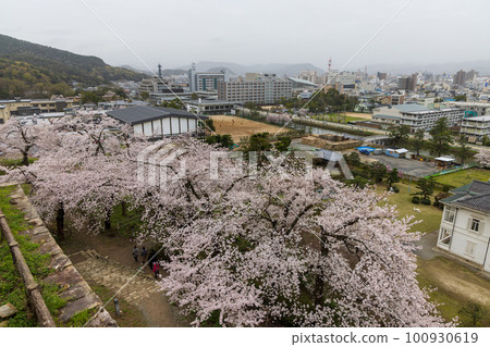 日本鳥取縣櫻花季鳥取城遺址 100930619