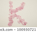 用花瓣繪製的英文大寫字母“K” 100930721