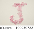 用花瓣繪製的英文大寫字母“J” 100930722
