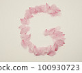用花瓣繪製的英文大寫字母“G” 100930723