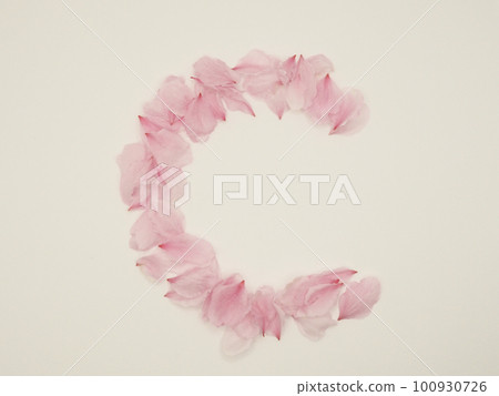 English capital letter "C" drawn with flower petals 100930726