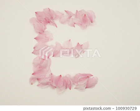 用花瓣繪製的英文大寫字母“E” 100930729