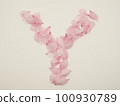 用花瓣繪製的英文大寫字母“Y” 100930789