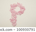 用花瓣繪製的英文大寫字母“P” 100930791