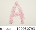 用花瓣繪製的英文大寫字母“A” 100930793