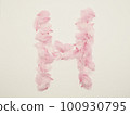 用花瓣繪製的英文大寫字母“H” 100930795