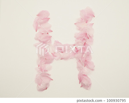 English capital letter "H" drawn with flower petals English capital letter "H" drawn with flower petals 100930795