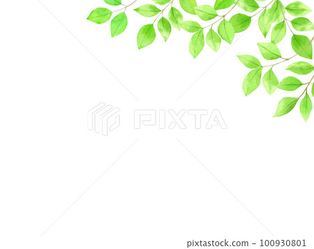 Refreshing fresh green background material drawn by watercolor 100930801