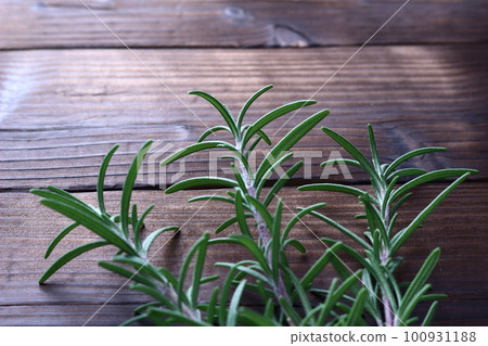 rosemary on white background rosemary on white background 100931188