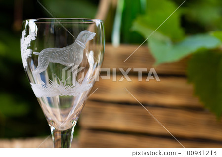 Wine glass with a sandblasted dog with a box for wine and a vine against a background of greenery. Copy space 100931213