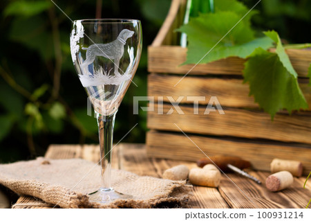 Wine glass with a sandblasted dog with a box for wine and a vine against a background of greenery. Copy space 100931214