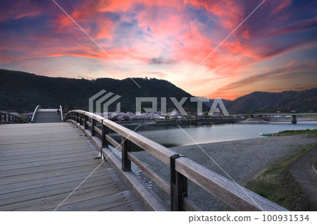 春天黃昏的錦帶橋（櫻花節） 100931534