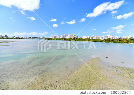 Shin-Naha Ohashi Bridge/Lake Manko, looking towards Kohagura (Naha City, Okinawa Prefecture) [February 2023] 100932864