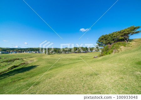 "Aomori Prefecture" Tanesashi Coast, Hachinohe City with clear skies and beautiful grass 100933048