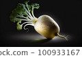 shiny fresh turnip 100933167