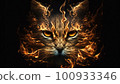 cat in flames 100933346