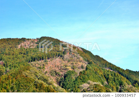 靜岡市里山市 靜岡市里山市 100933457