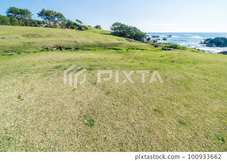 「青森縣」晴空萬里、草地秀美的八戶市種差海岸 100933662