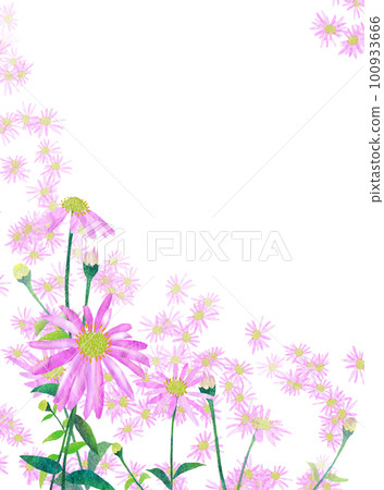 淺紫色野菊花簡單框架 淺紫色野菊花簡單框架 100933666