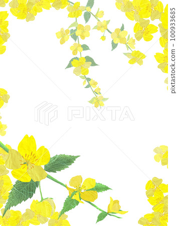 Illustration of Yamabuki blooming in a mountain village in early spring 100933685